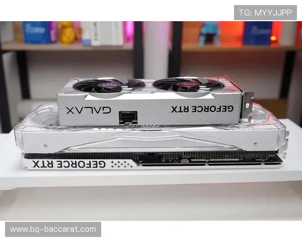 40606G显卡性能评测：打游戏是否足够流畅及适用性分析